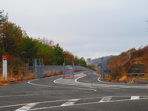 202503c13.jpg