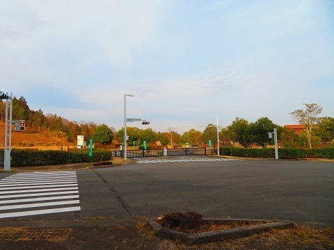 202503c24.jpg