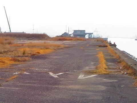 202503d17.JPG