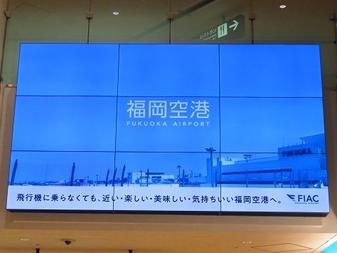 202503d58.jpg