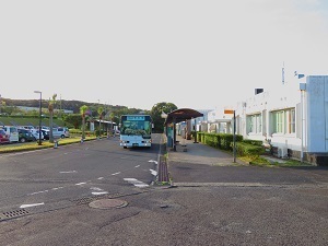 KUM001.JPG