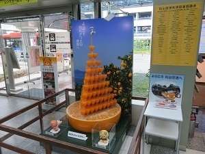 MYJ032.jpg